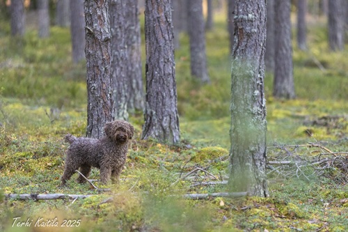 Laila (Tanwen As Good As It Gets) 24 kk